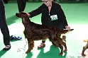 Crufts2011 804